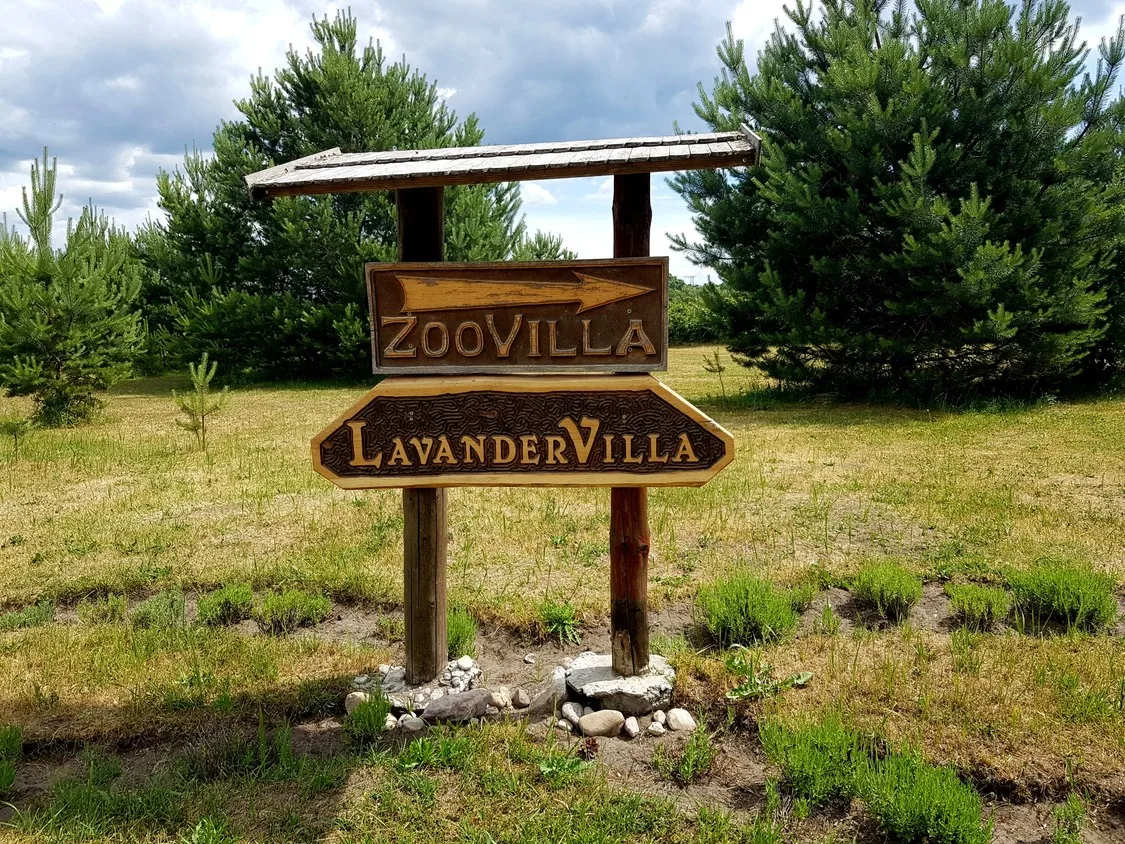 100 m² Lavandervilla Kompleksas Grobiņā, Latvijā image 20