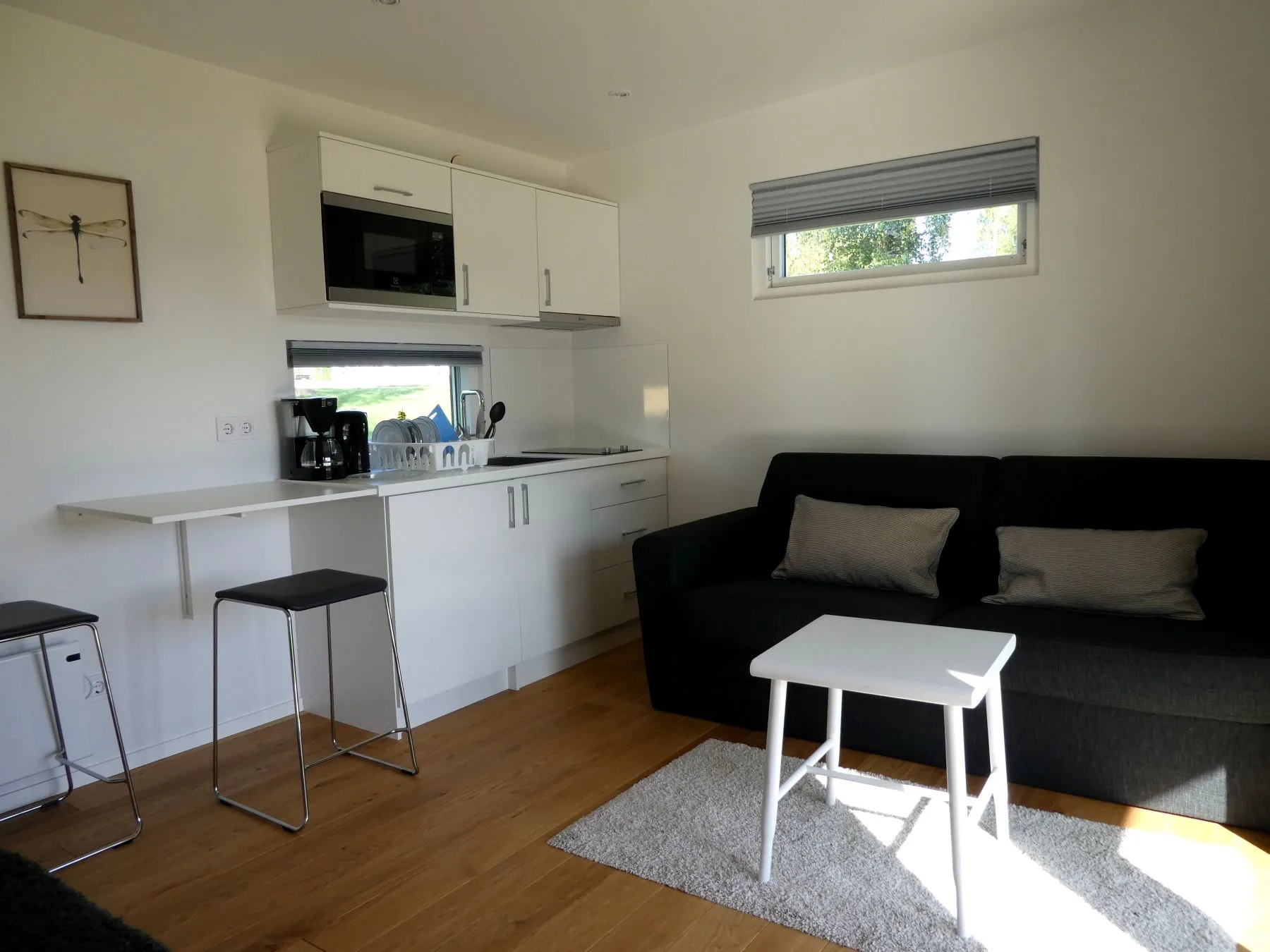 25 m² Kaimo nameliai Tranås mieste, Švedijoje image 6